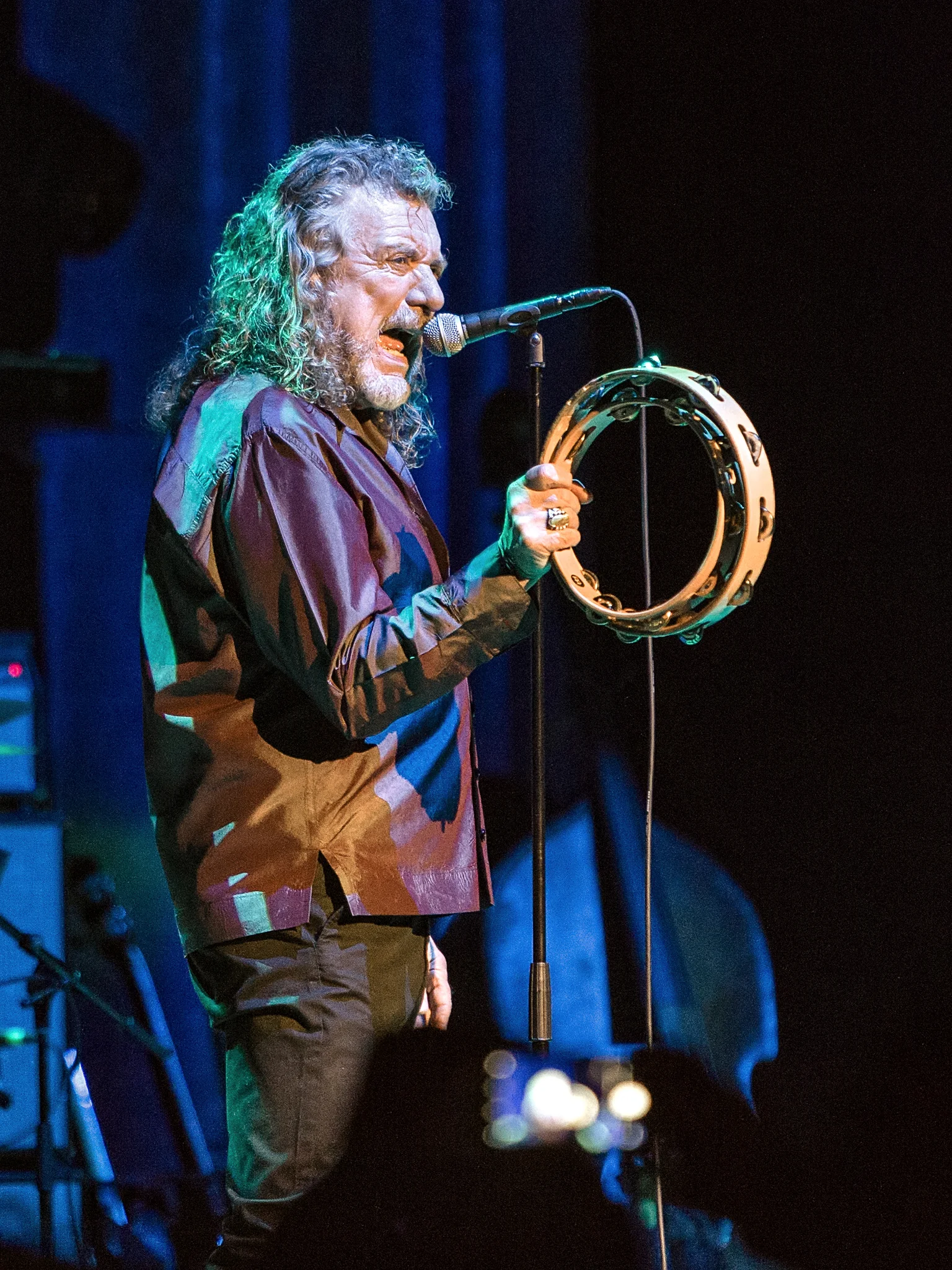 ROBERT PLANT