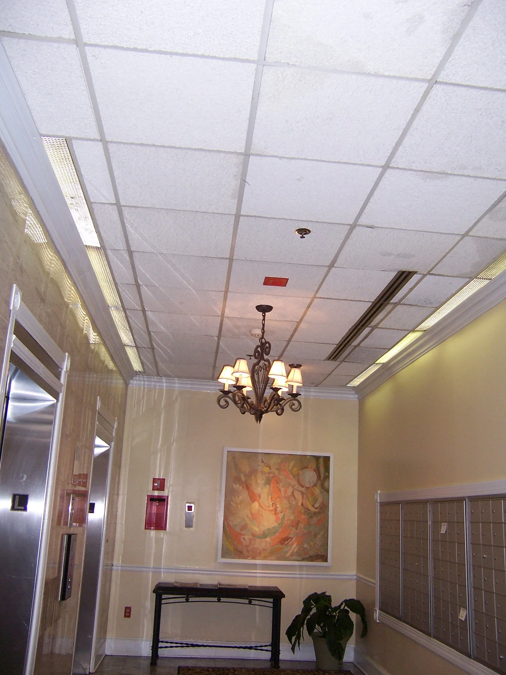 100_9501.JPG