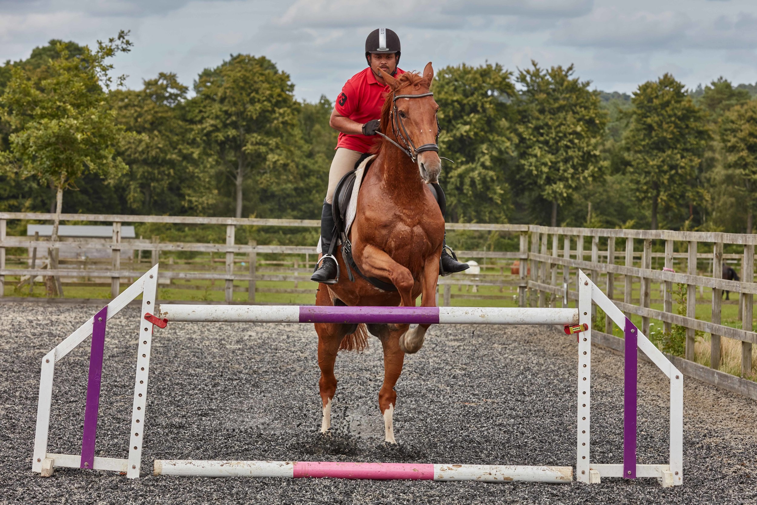 Equestrian Photography