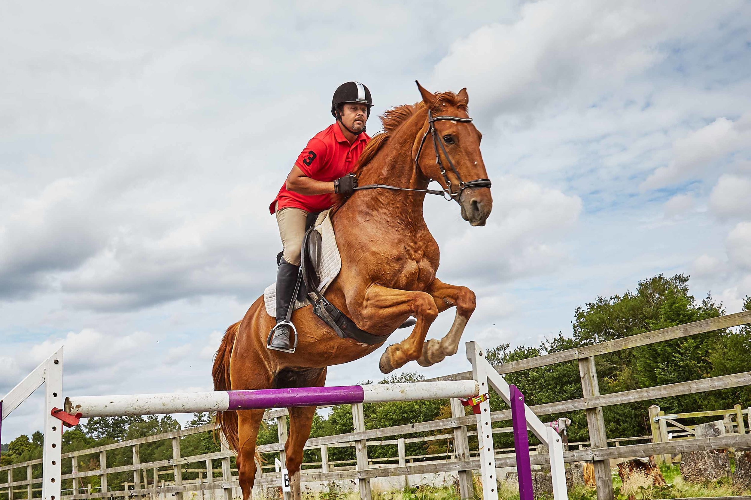 Equestrian Photography