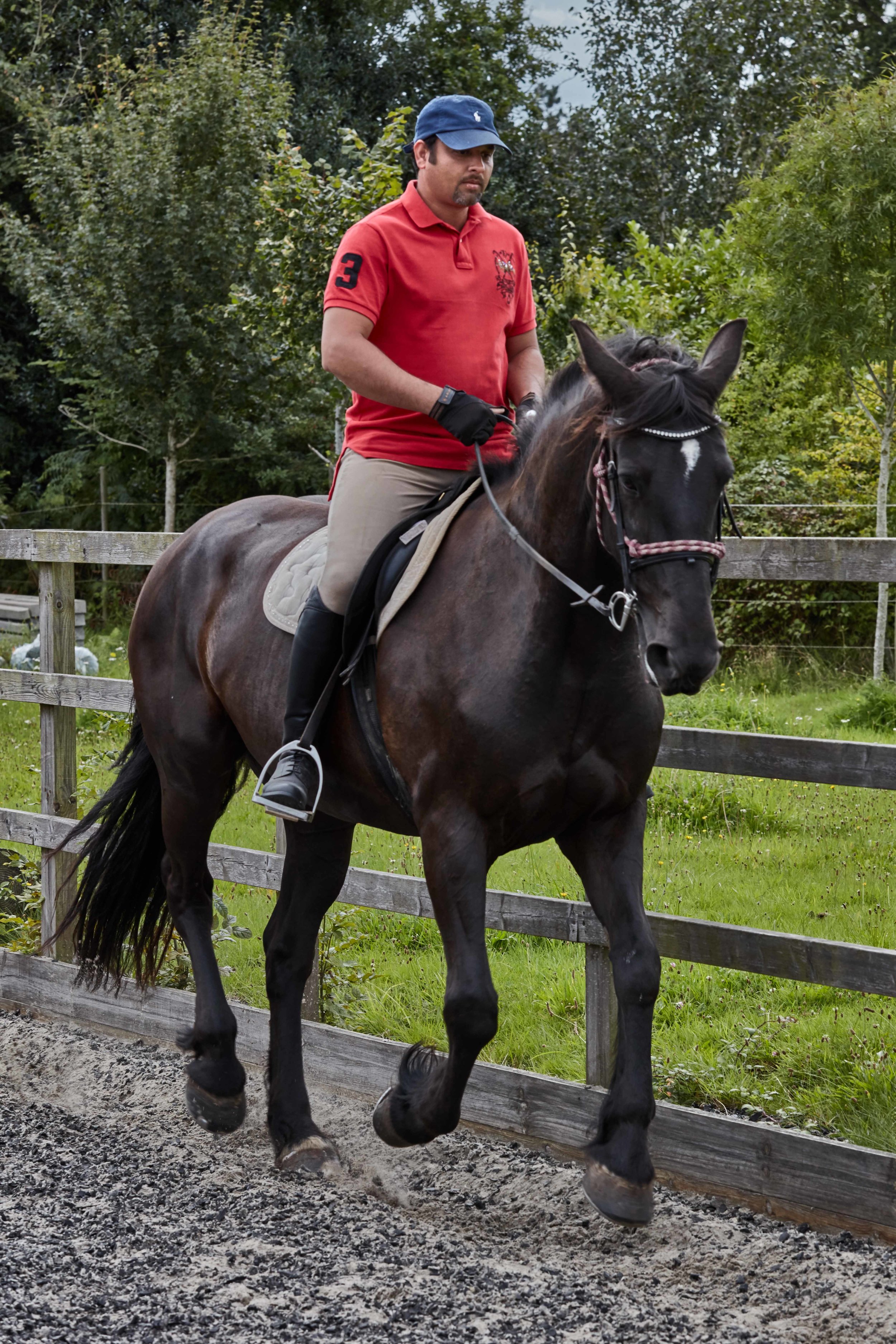 Equestrian Photography