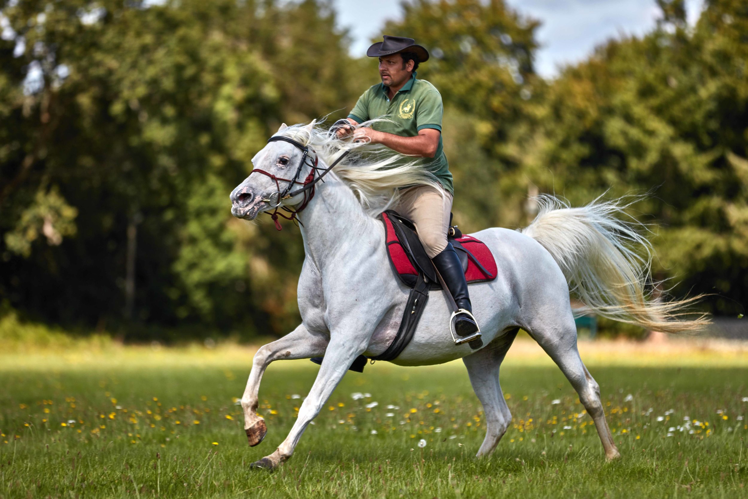 Equestrian Photography