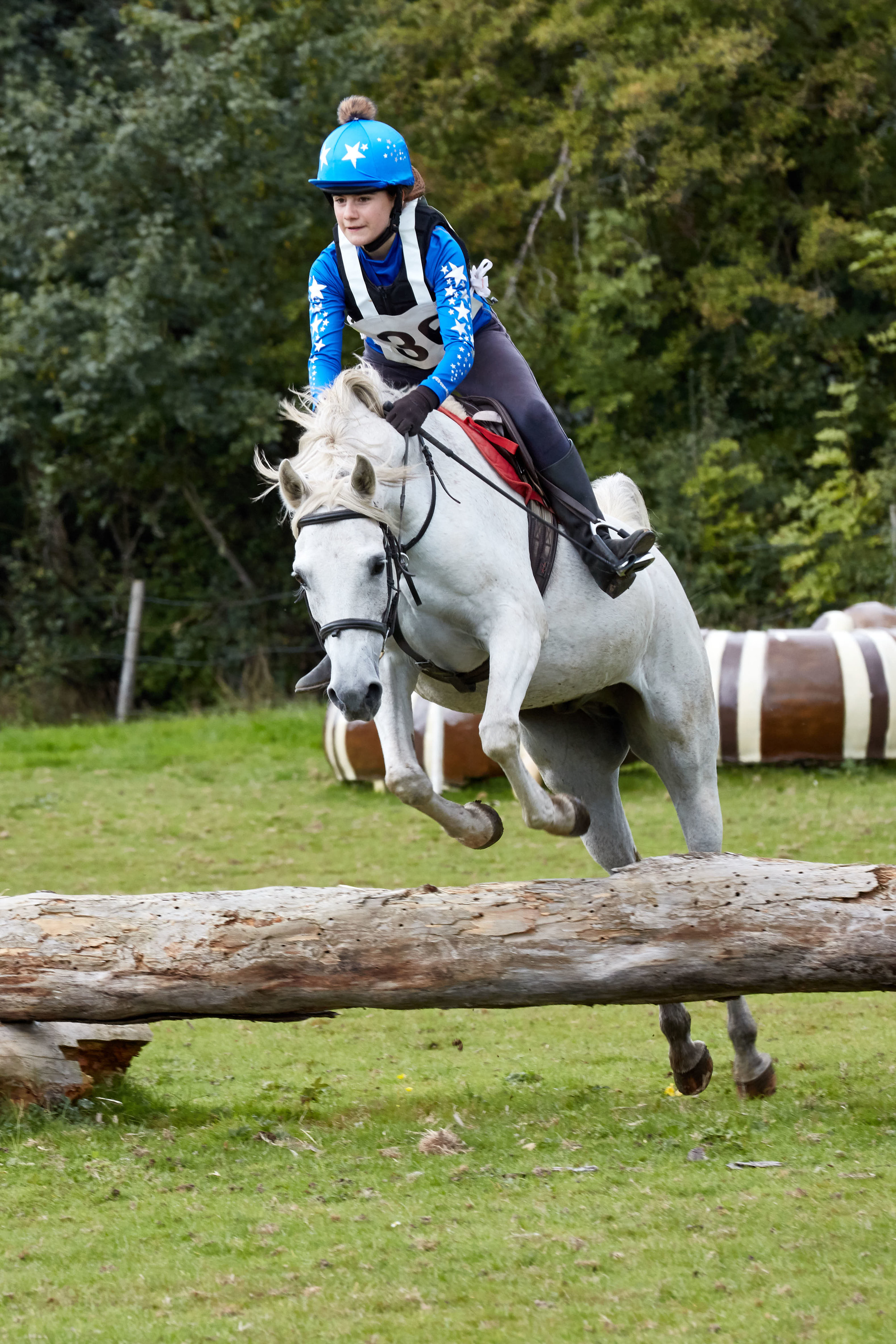 Horse Jumping 