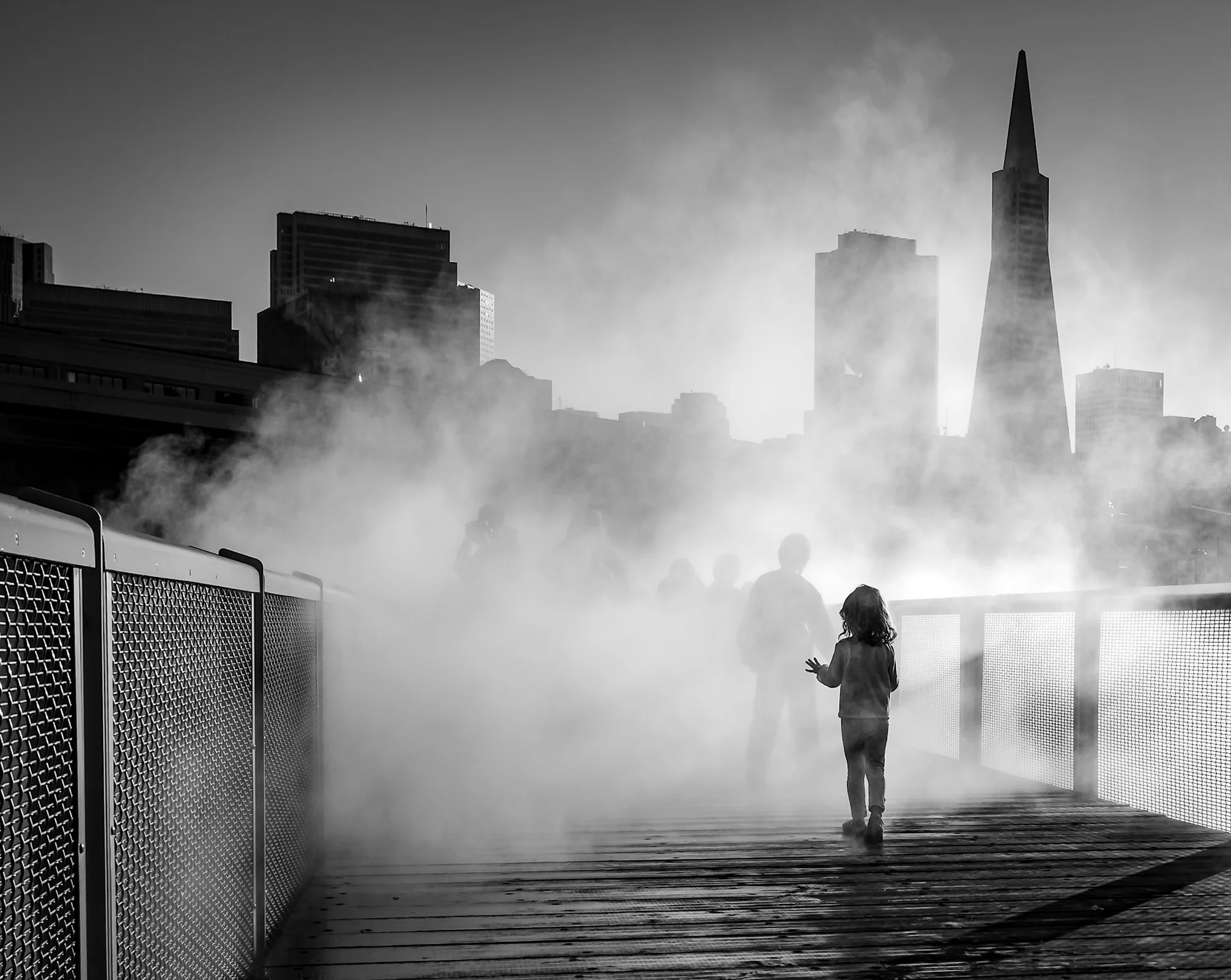 Ghost in the Mist 2.jpg