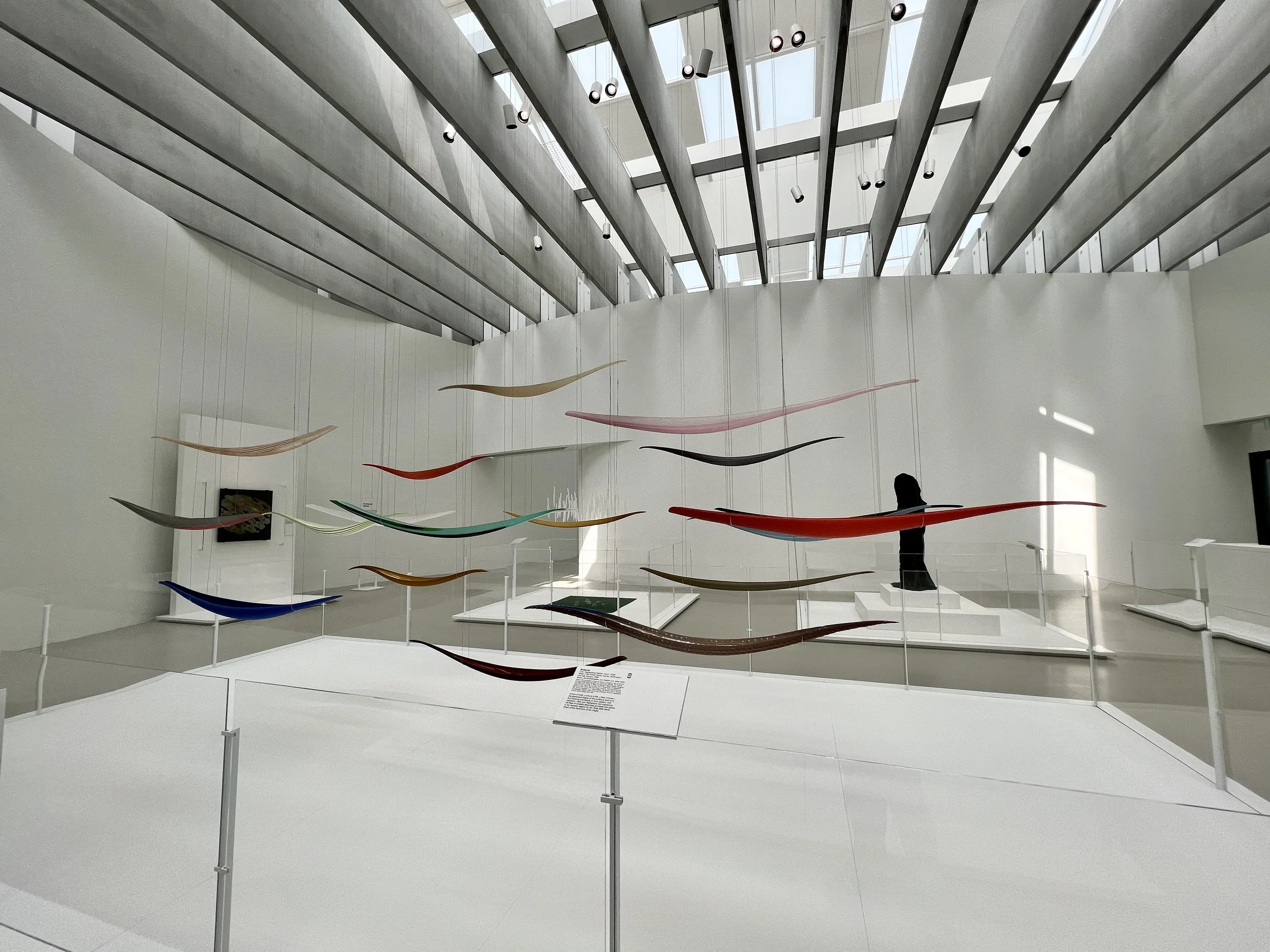 Photo Sep 06 2023, 12 42 23 PM.jpg