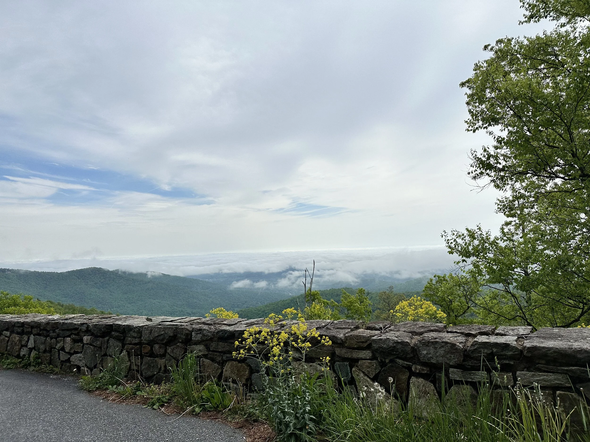 IMG_0707.jpeg