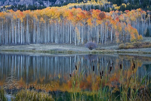 Fall Landscapes