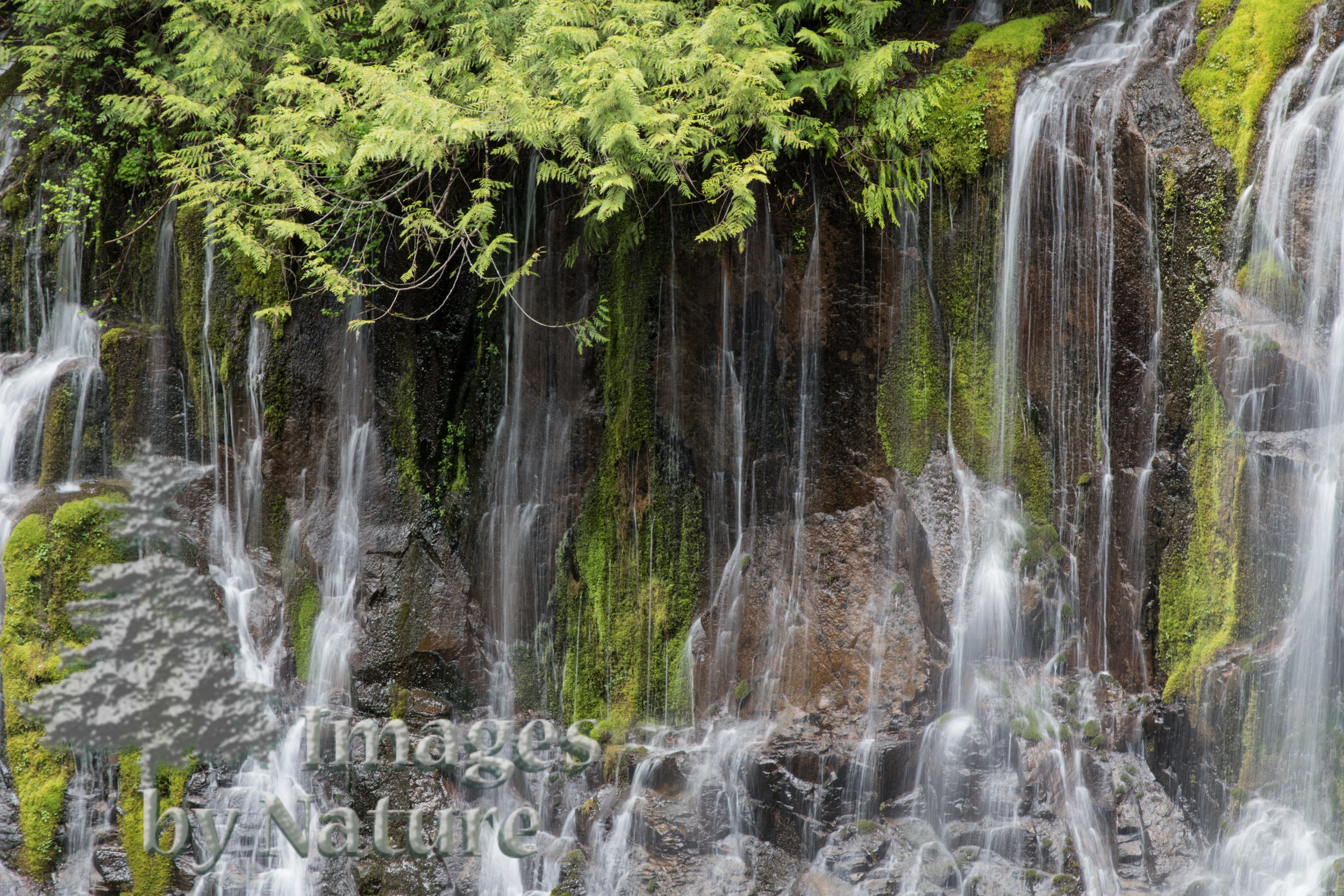 Landscape_Waterfalls_PantherCreekFalls_WA_05_WEB-2.JPG