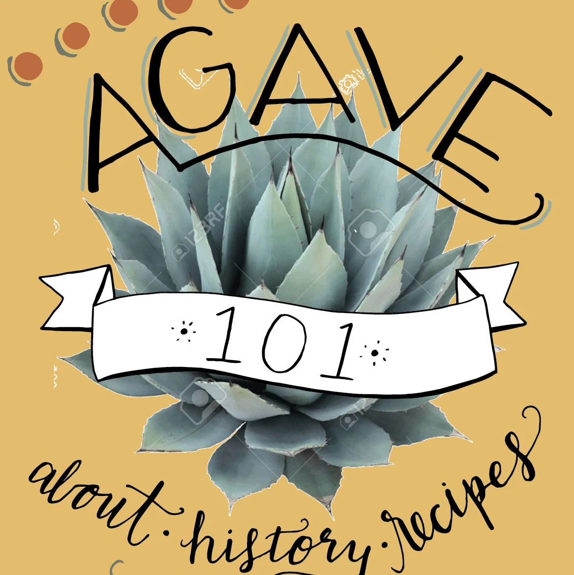 Agave.jpg