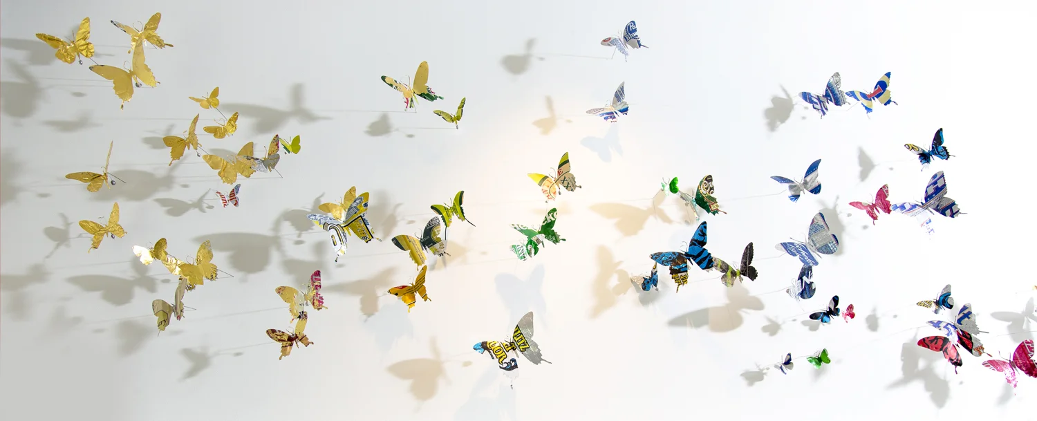 Butterflys.jpg