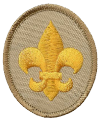 Scout (Copy)