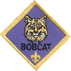 Bobcat (Copy)