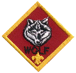 Bobcat.png