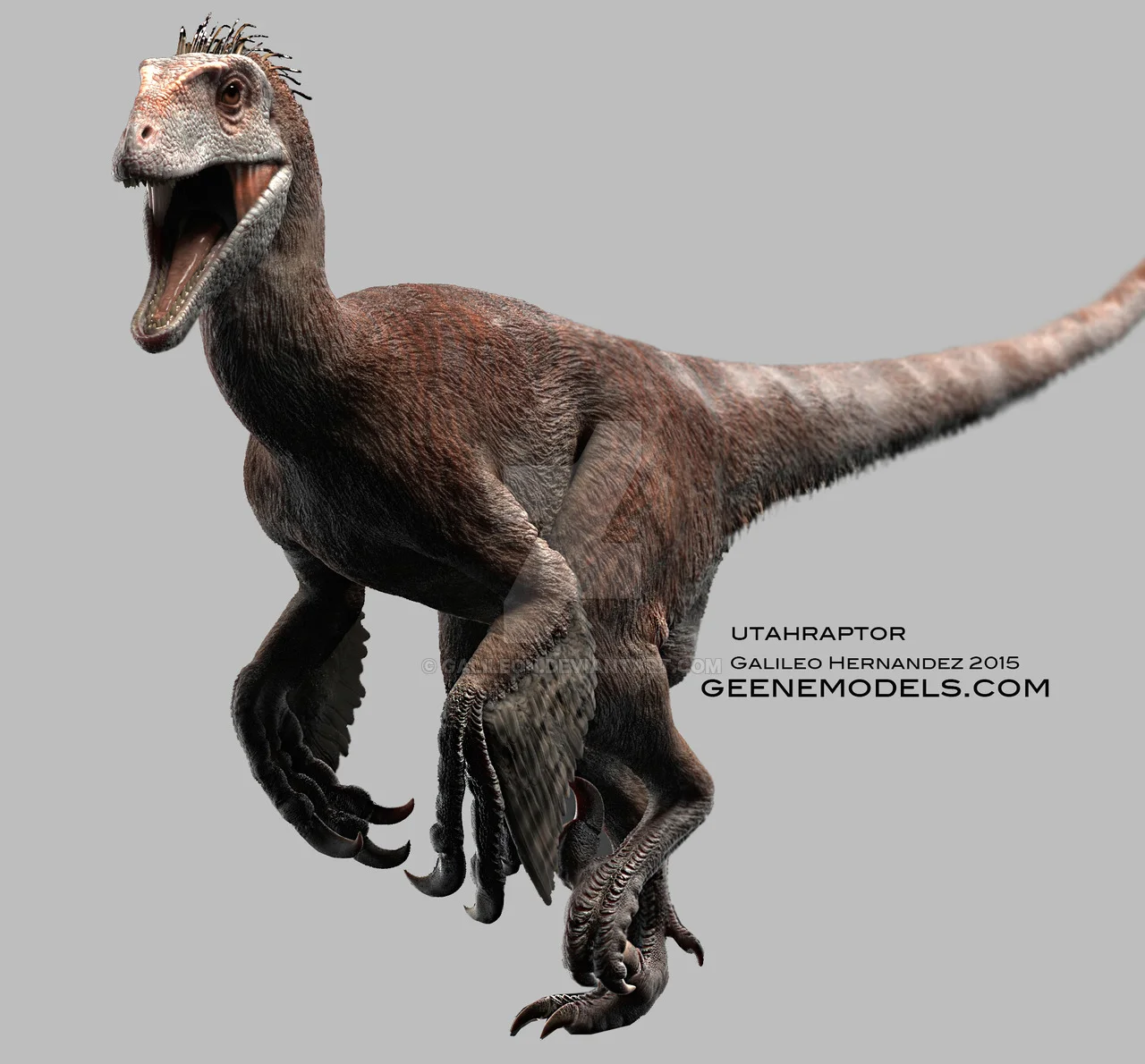 Youta Raptor Utah Raptor — ScouterLife