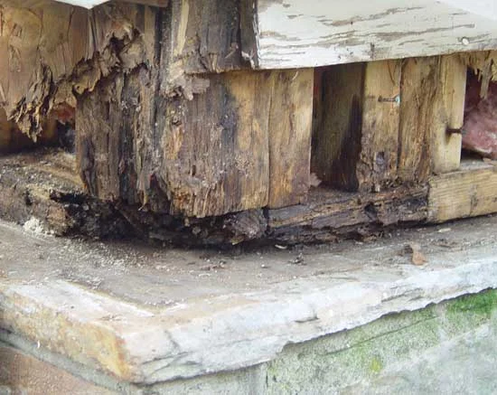 decayed-wood-corner.jpg