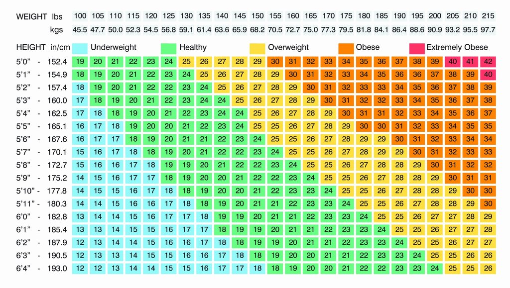 BMI Chart  BMI Calculator