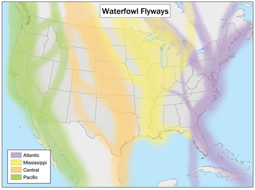 Flyways — ScouterLife