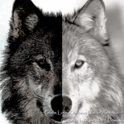 2022-25 Which One Do You Feed episode artwork