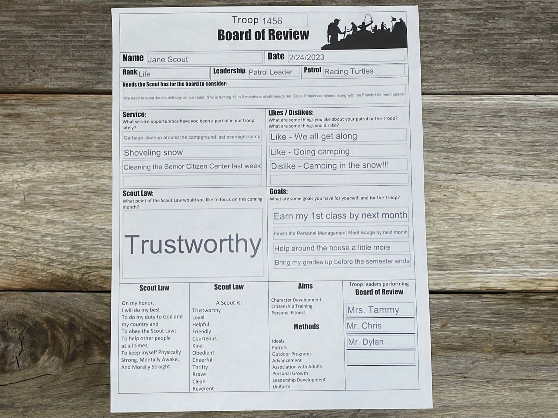 Board of Review Fillable PDF