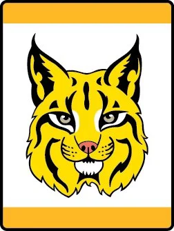 Bobcat Lion