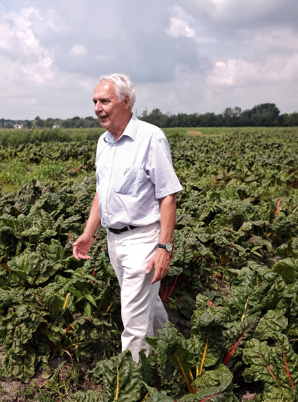M. Trudeau, un visionnaire qui a transformé la ferme laitière de ses parents (en exploitation depuis 1850), dans ses champs de bette à carde arc-en-ciel...