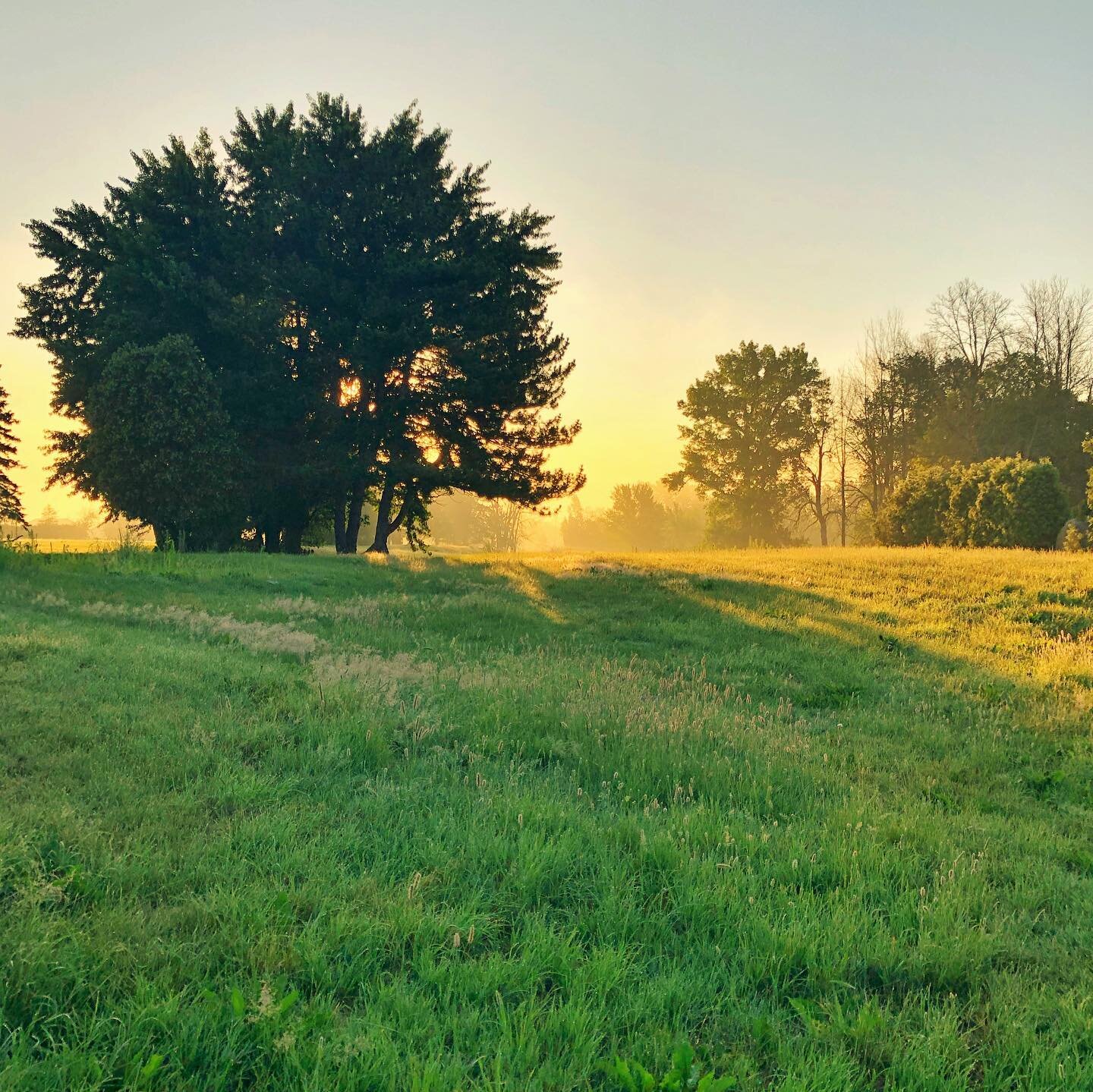 Lever de soleil magique ✨