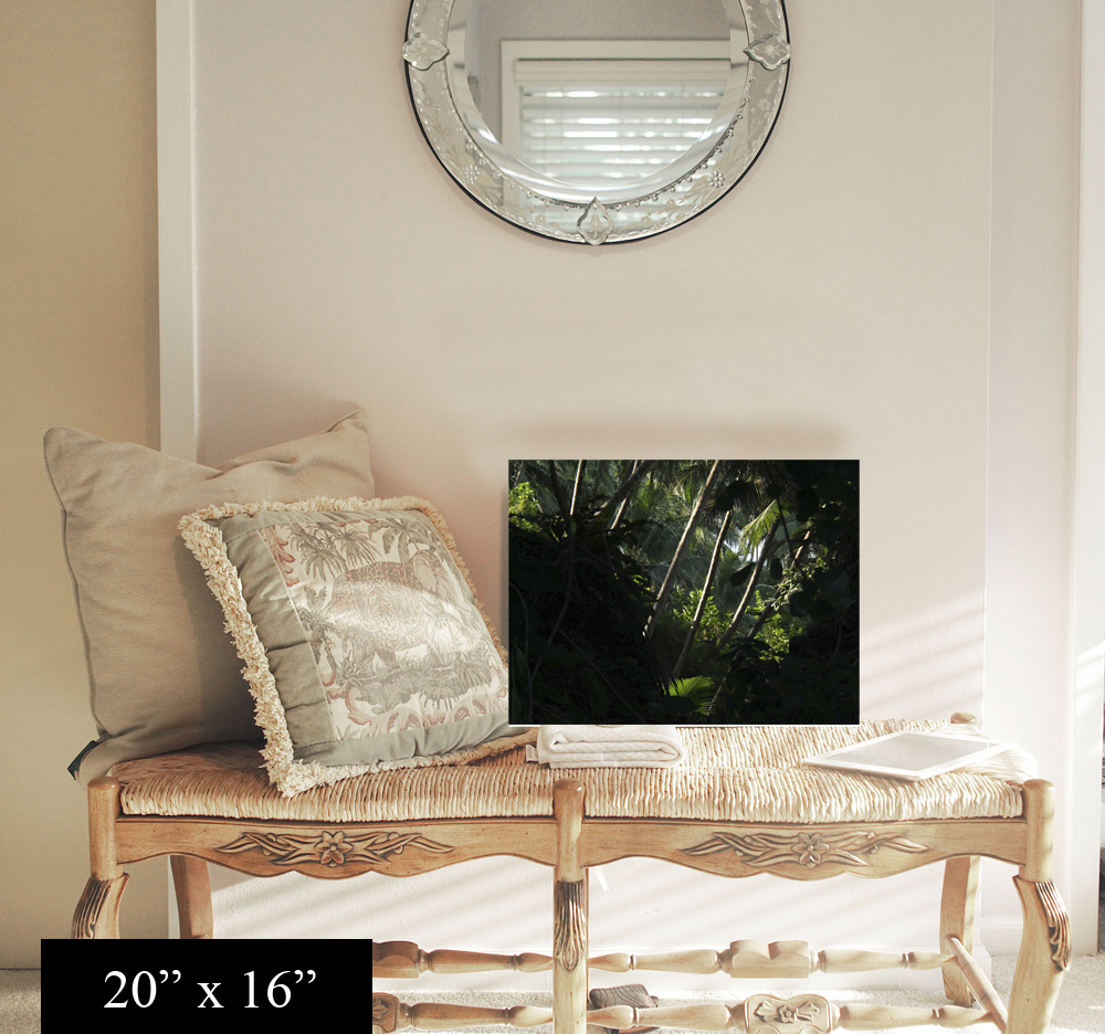 20 x 16 FLIPPED.jpg