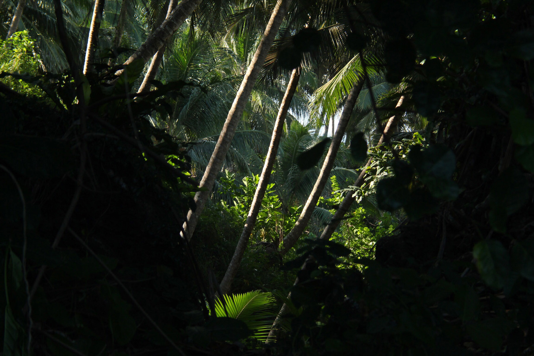 Photo+Apr+29,+1+08+35+AM.jpg