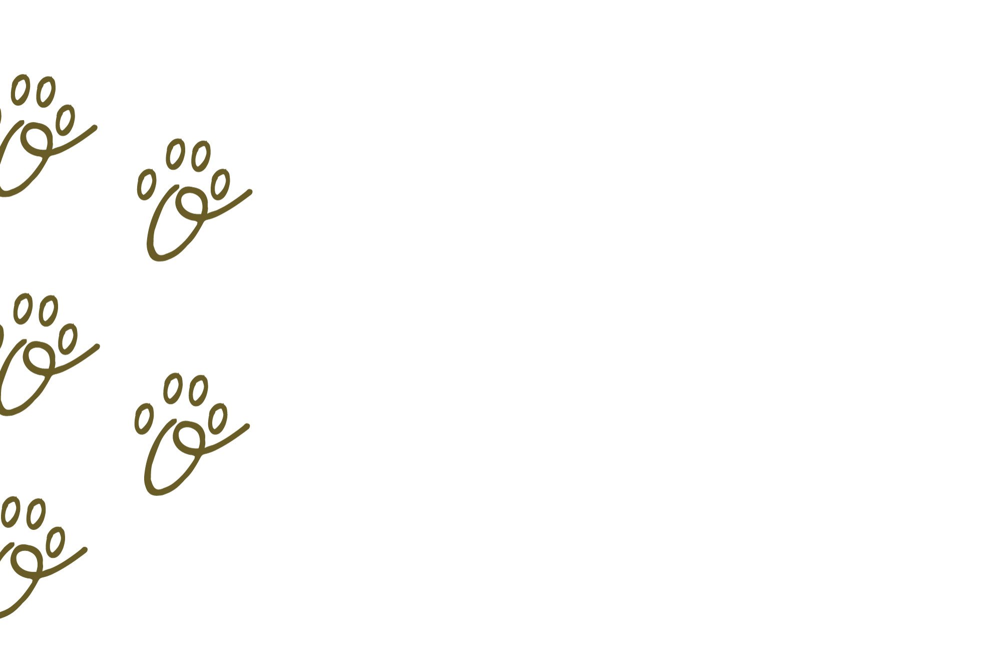 POM_Website_Mock-up2.jpg