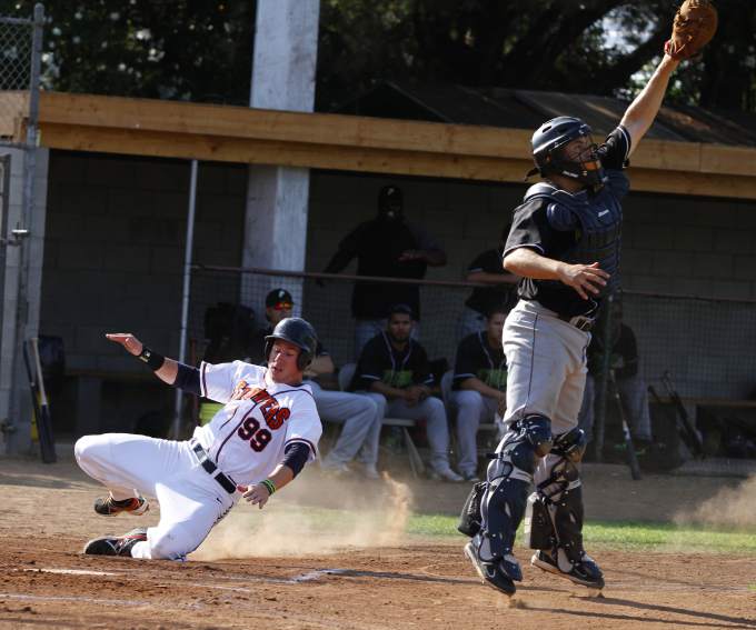 Sonoma’s Jayce Ray, seen sliding safely into home plate during a Stompers 2014 home game at Arnold Field, has had his contract acquired by the Boston Red Sox. Staff Photo/Sonoma Stompers