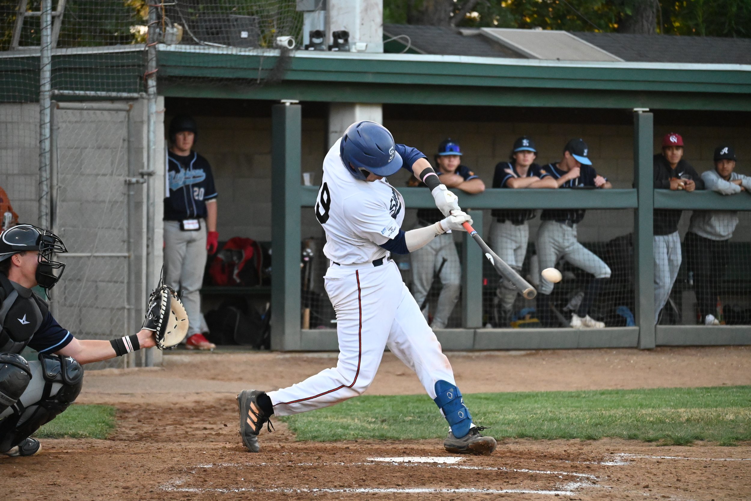 Latest News — Sonoma Stompers Baseball