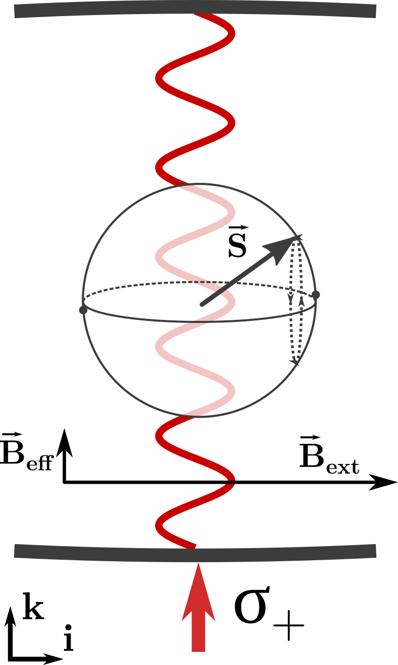 Conceptual diagram of a spin oscillator interacting with the probe laser.