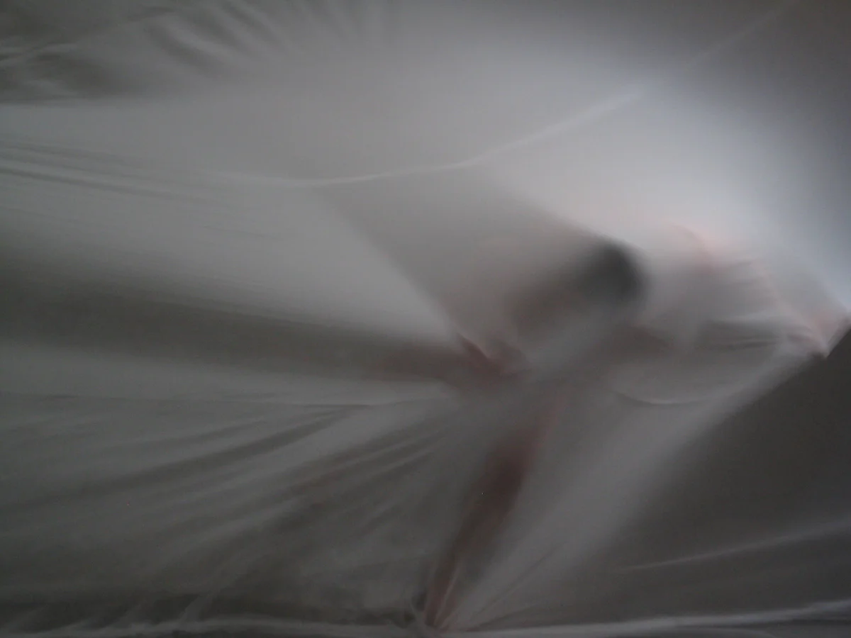 2. Cruz Apnea performance 2009.jpg