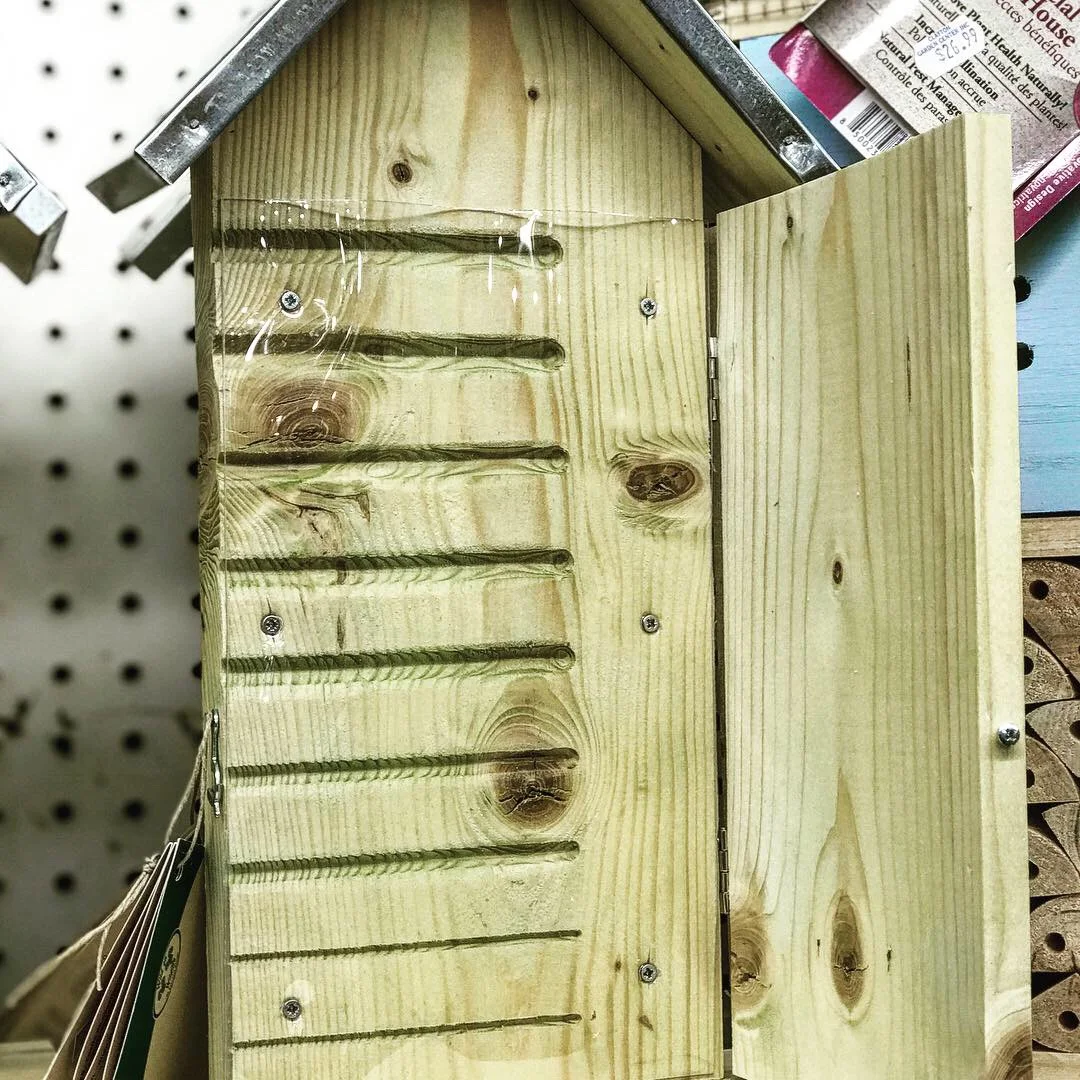 Pollinator / Native Program — Clayton Garden Center