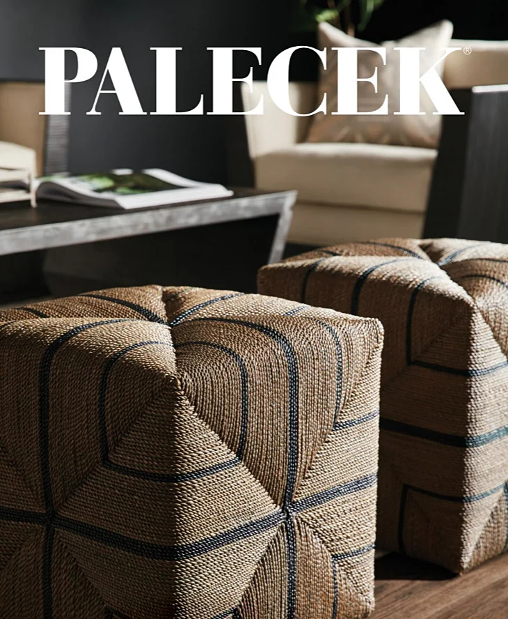 Palecek screen shot.jpg