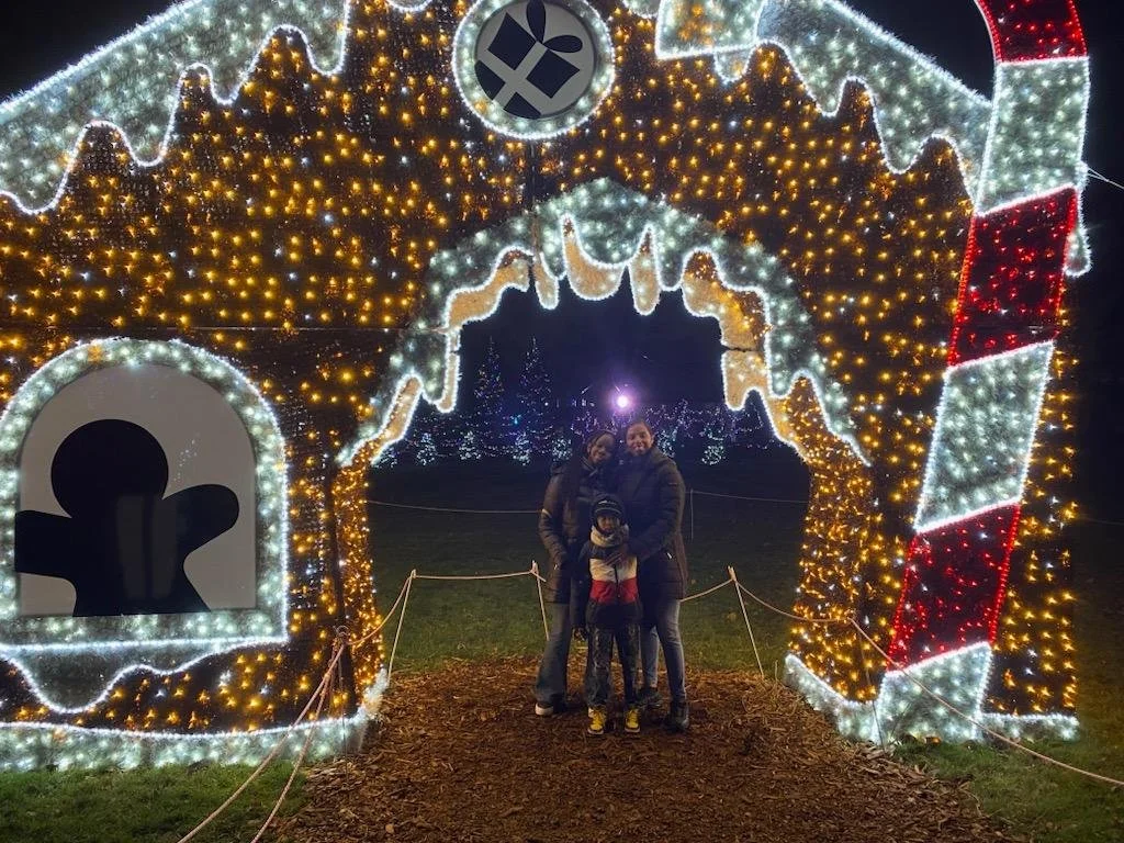 Shining Bright with Holiday Lights! — Chicago Youth Centers