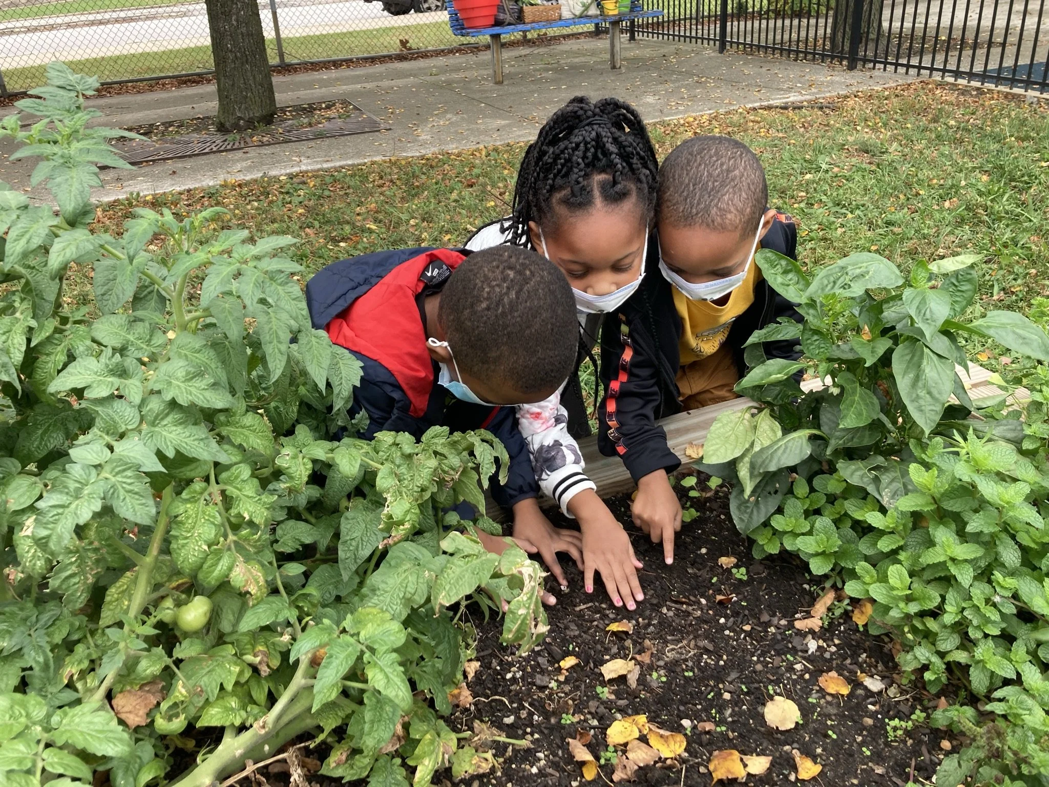 The Bountiful Benefits of CYC's Gardening Program