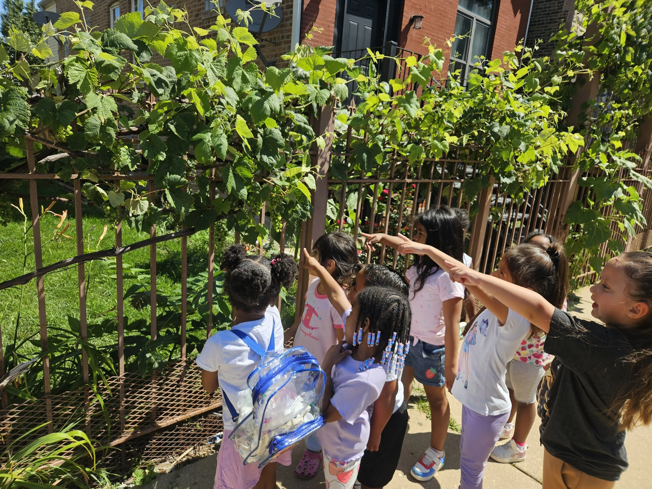 CYC-Centro Nuestro learns about local plants on their nature walk