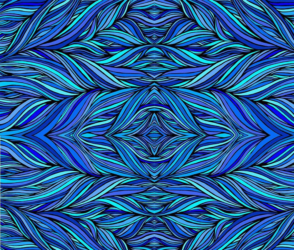 whale+symmetry.jpg