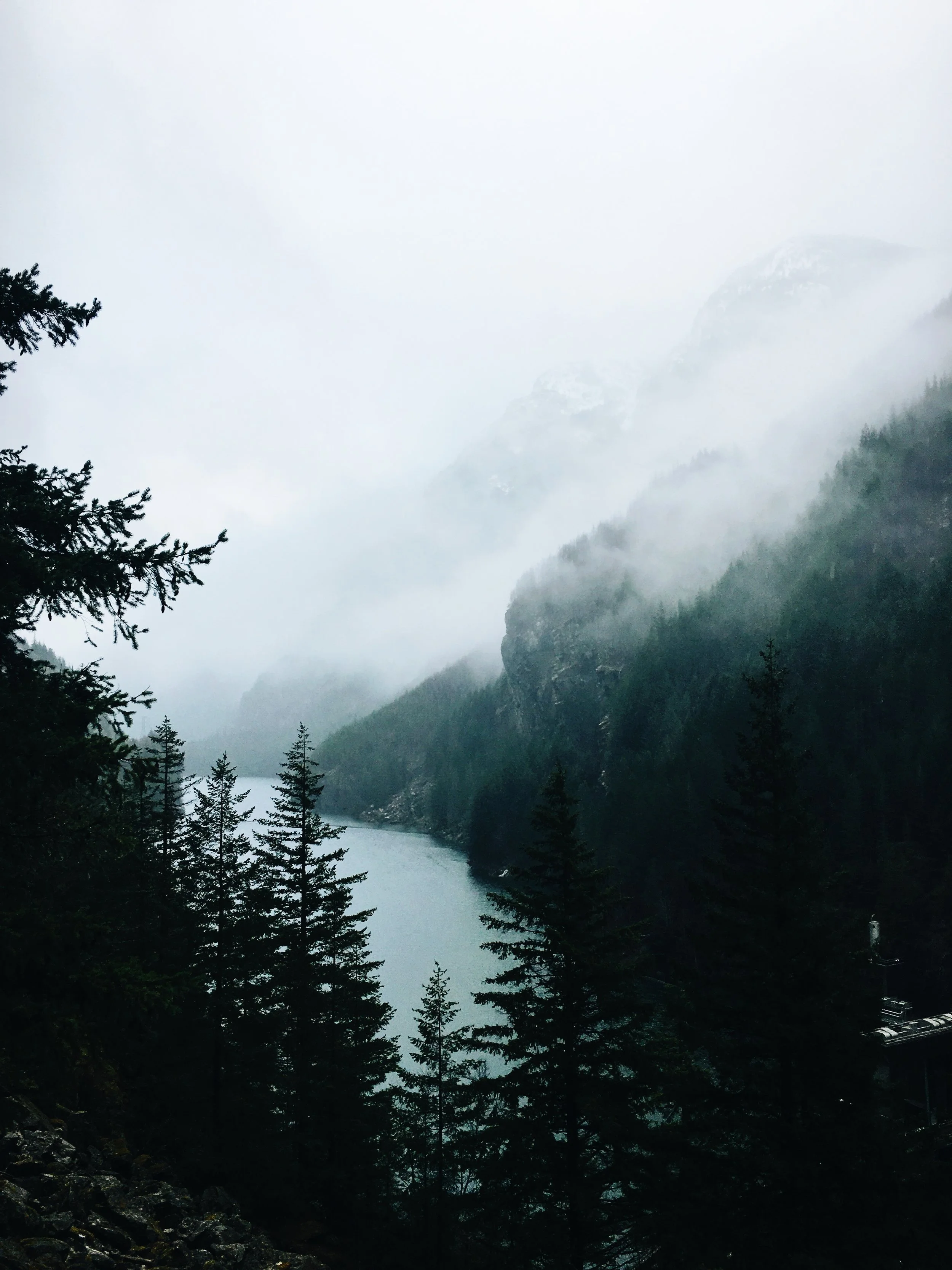 84E156F1-8A22-4187-99A6-4F9E6EC9AD10.jpg