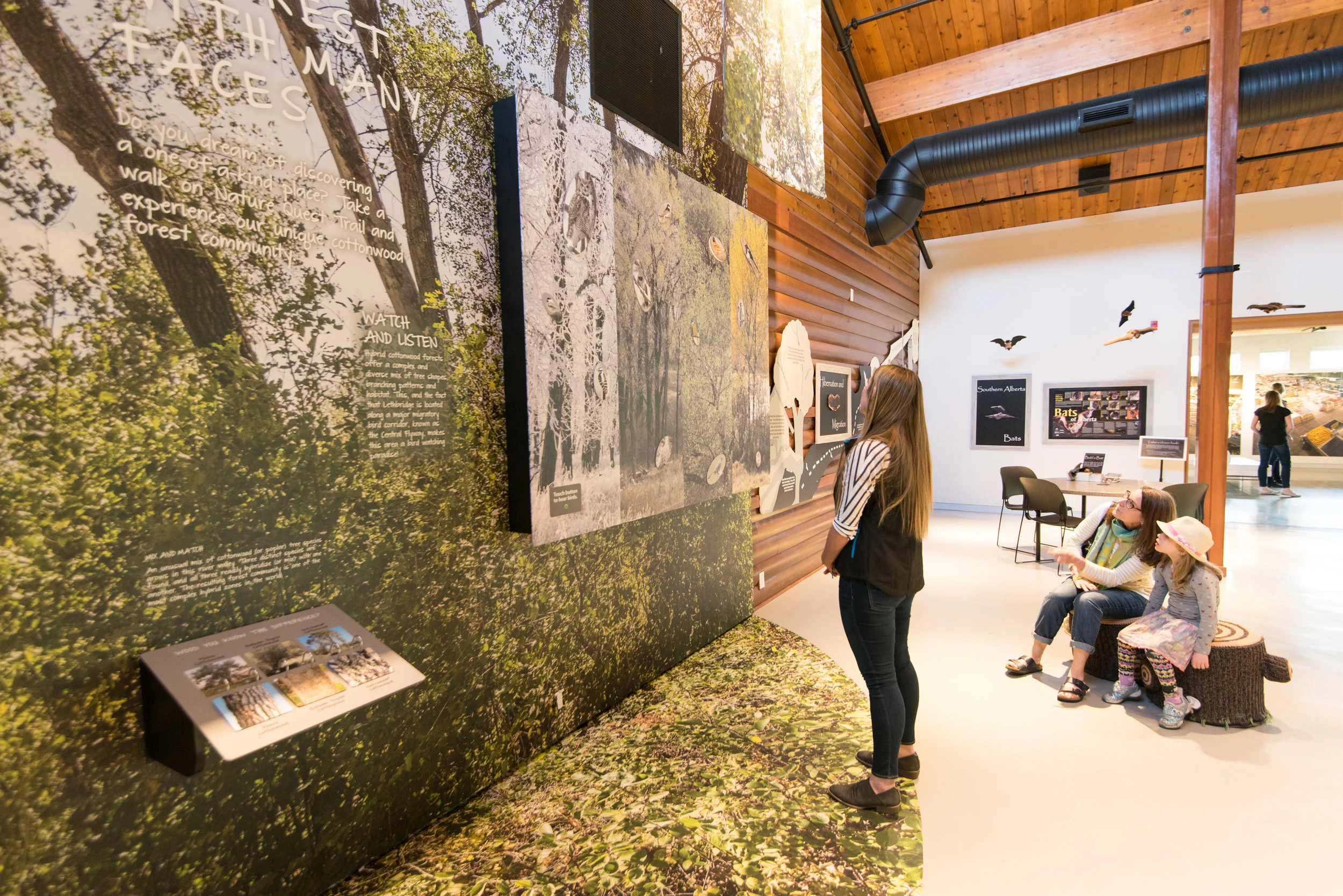 Supporting interactive experiences