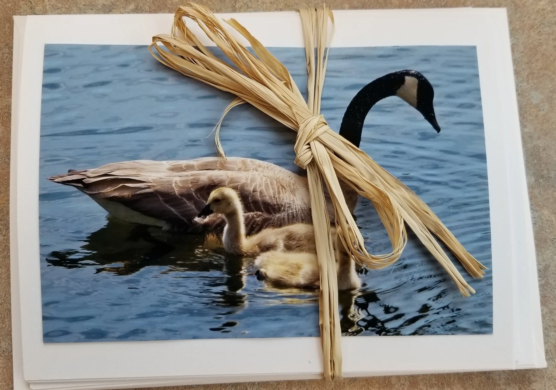 20180927_112208.jpg