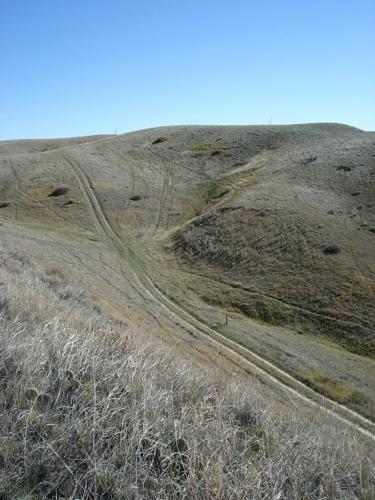 Experiencing Eco-Grief: A workshop using artistic &amp; embodied process 