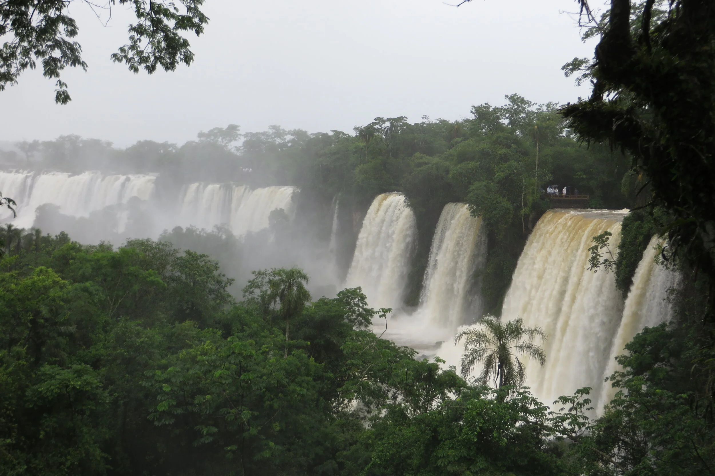 Travel Adventures: Exploring Brazil's Pantanal &amp; Iguazu National Park with Joanna Fraser