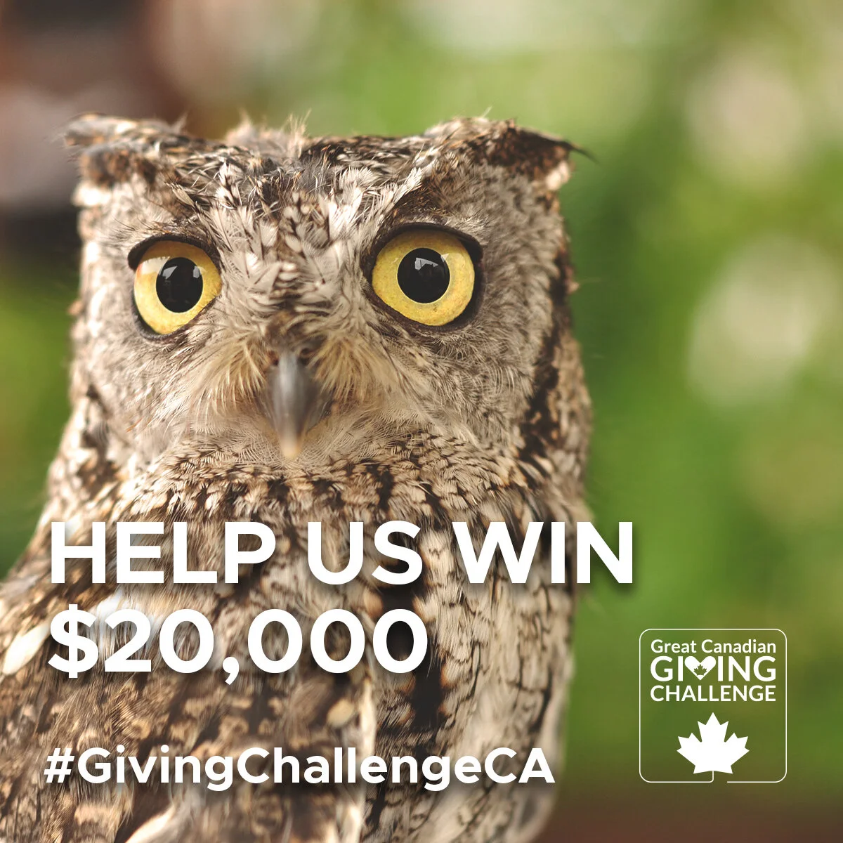 Great Canadian Giving Challenge