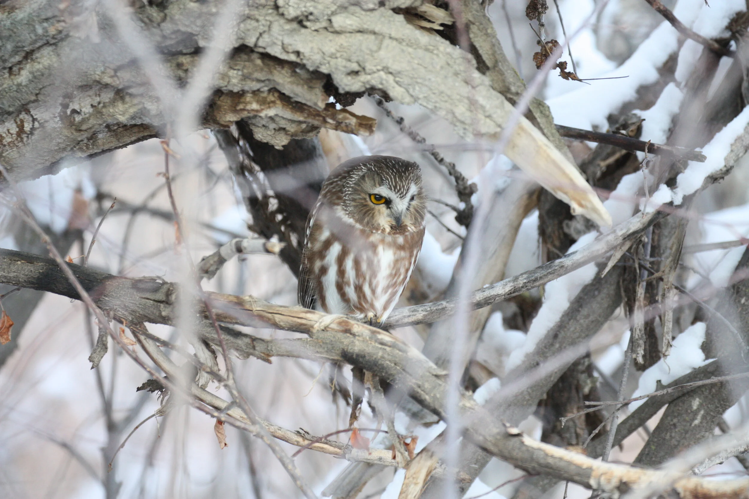 We now accept donations of Securities &amp; Mutual Funds