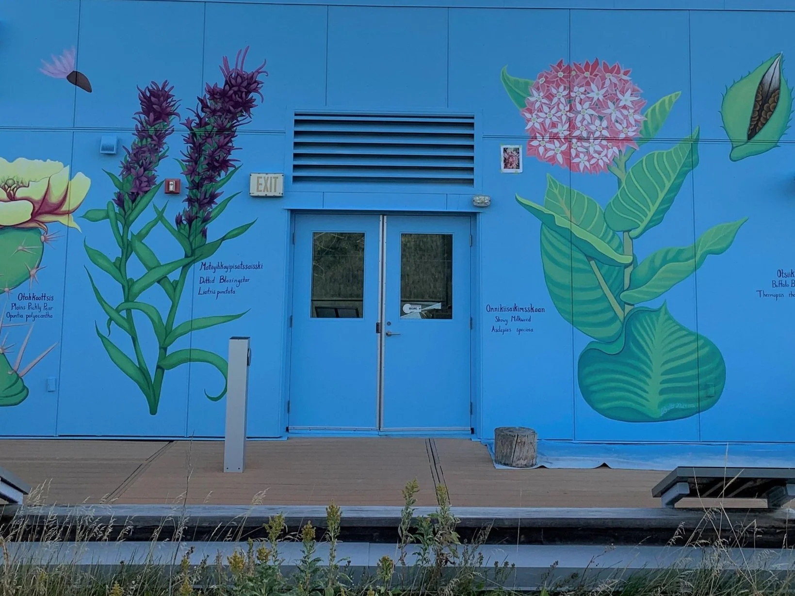 Annual General Meeting 2025