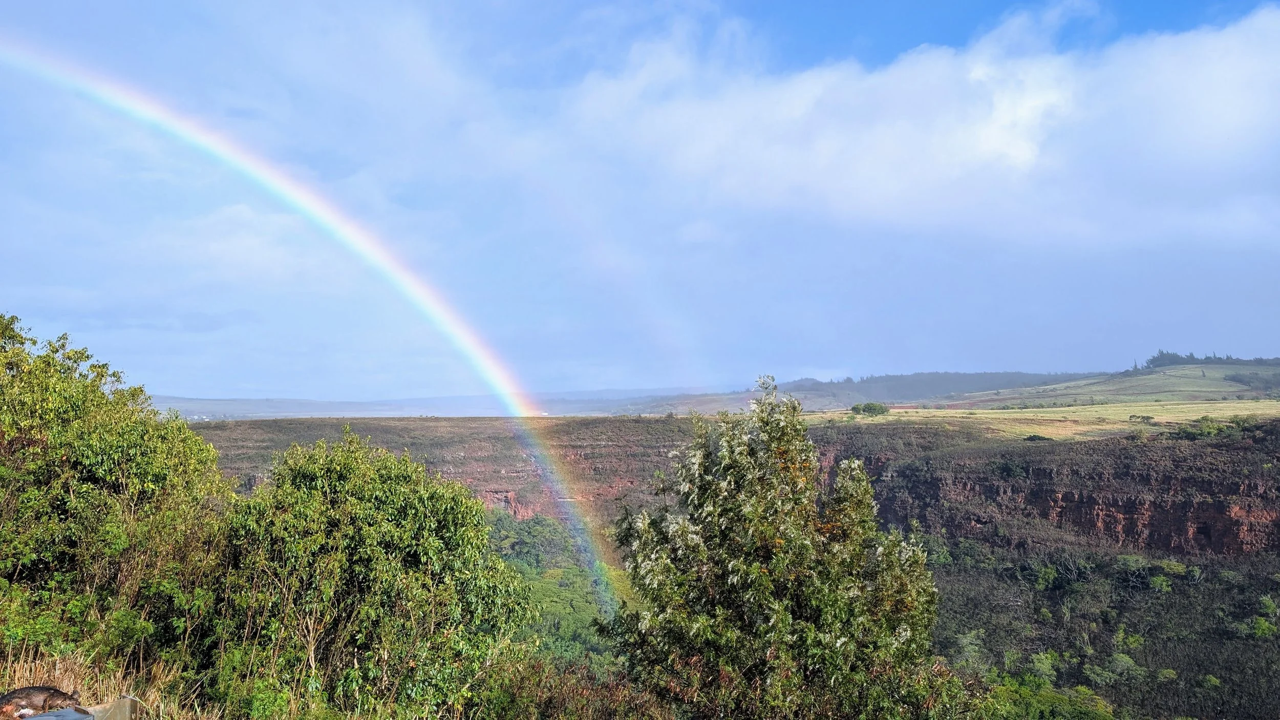 Travel Adventures: The Garden Island, Kauai with Chelsea Sherbut