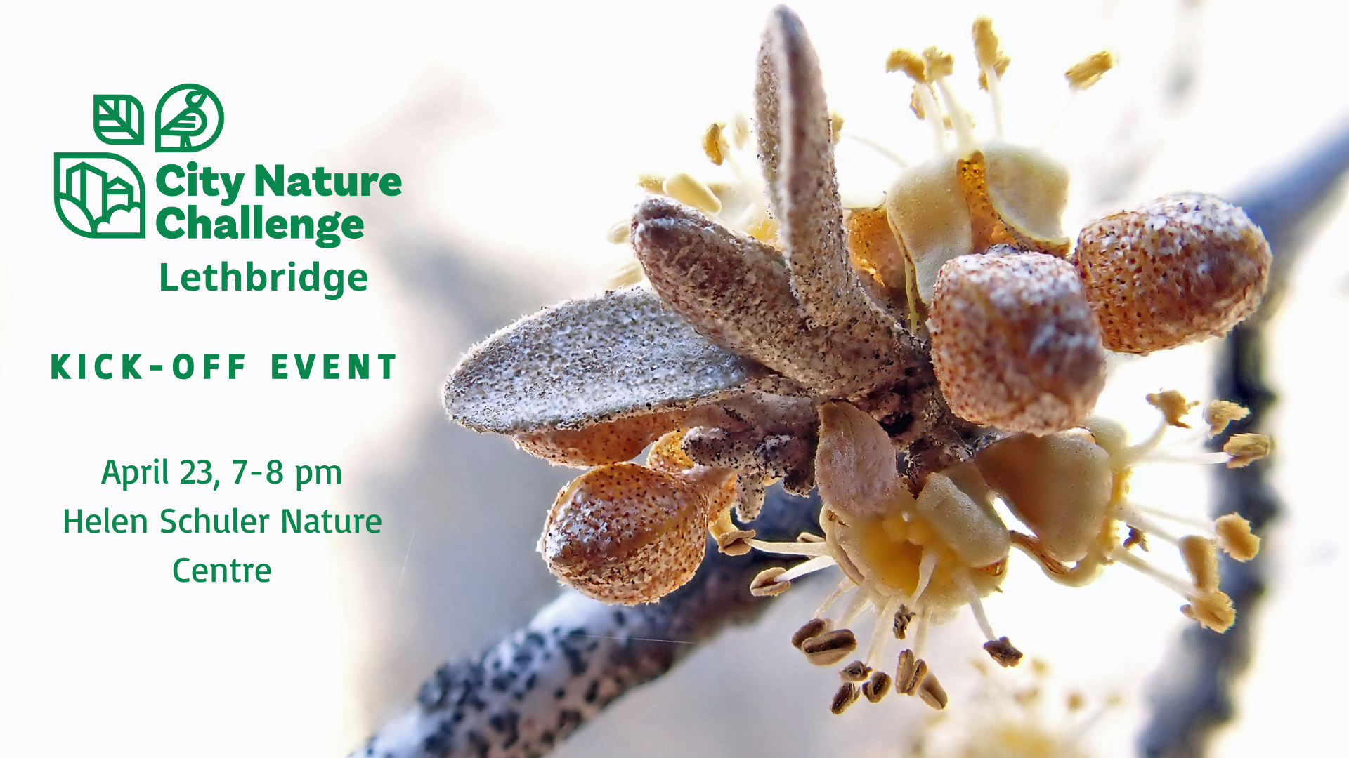 City Nature Challenge Kick Off Event