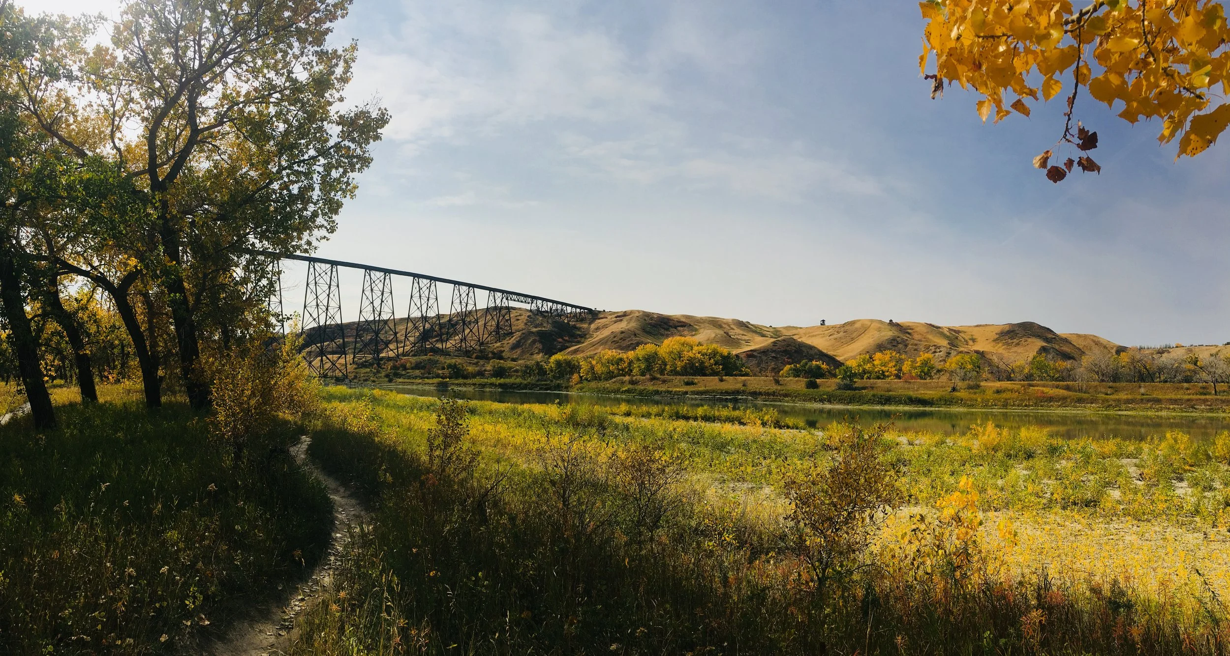 Donate today and support the Nature Centre in perpetuity!